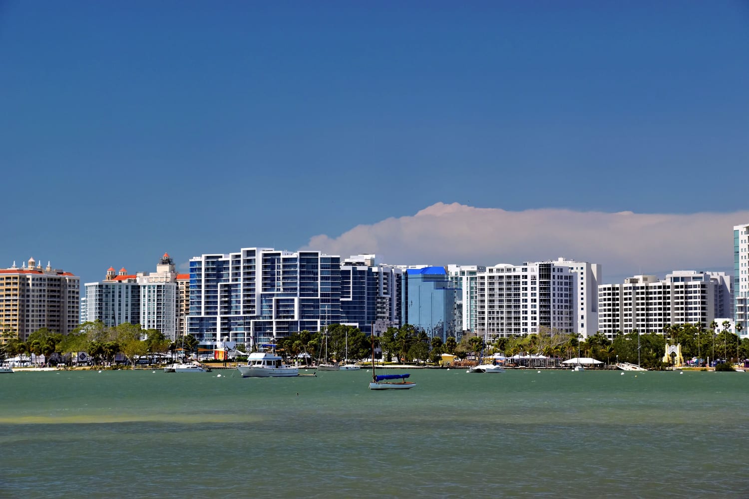 Sailboats and the Sarasota skyline across the bay